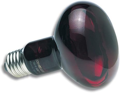 Увеличена Нощен Инфрачервена Топлинна лампа с мощност 75 W с повишен